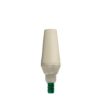 GP Abutment Engaging Peek Ø 5.0 JDEvolution Plus EVGPAEPC: