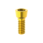 Prosthetic Screw for Angulated Channel Conical Abutment Direct EVS112