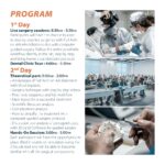 2-Day Full Arch Treatment Course - Image 2